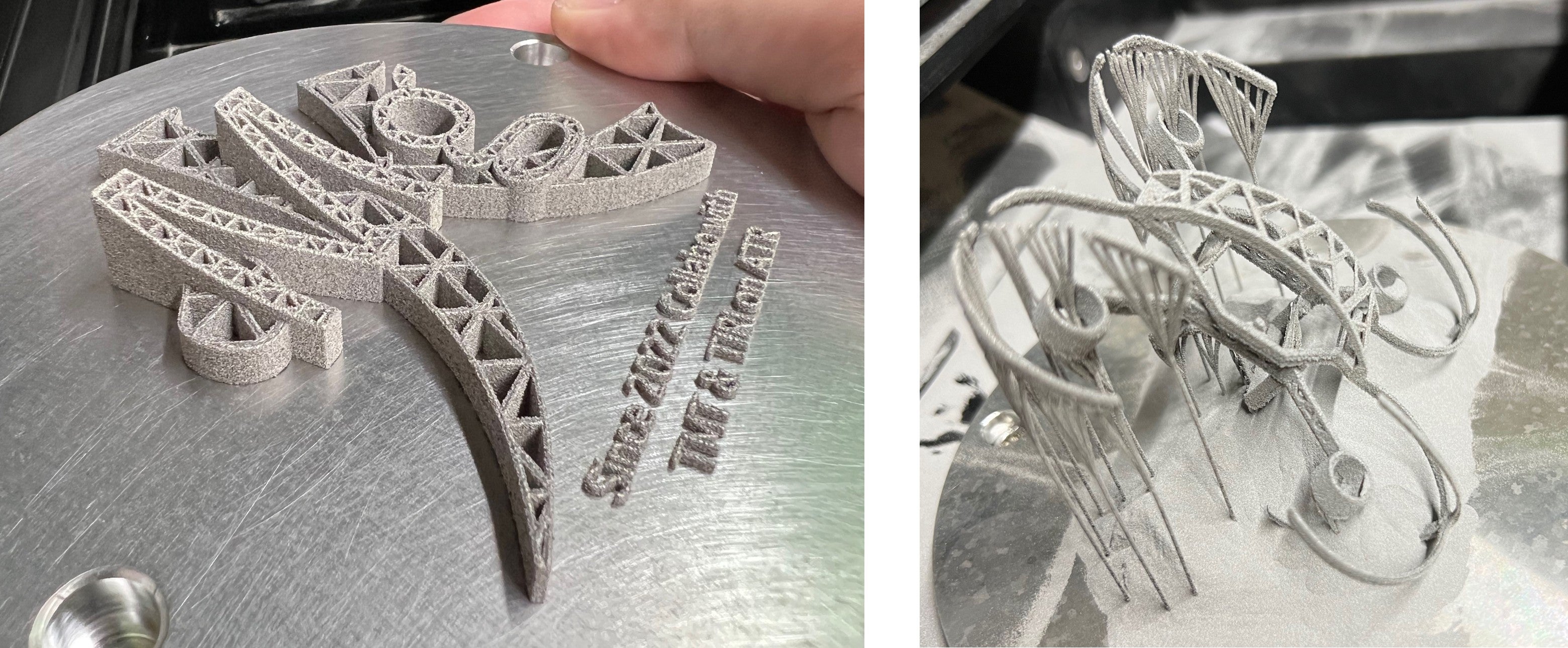 マグネシウム合金で作られた複雑な形状(トンボのデザインや格子構造)の造形物の写真。