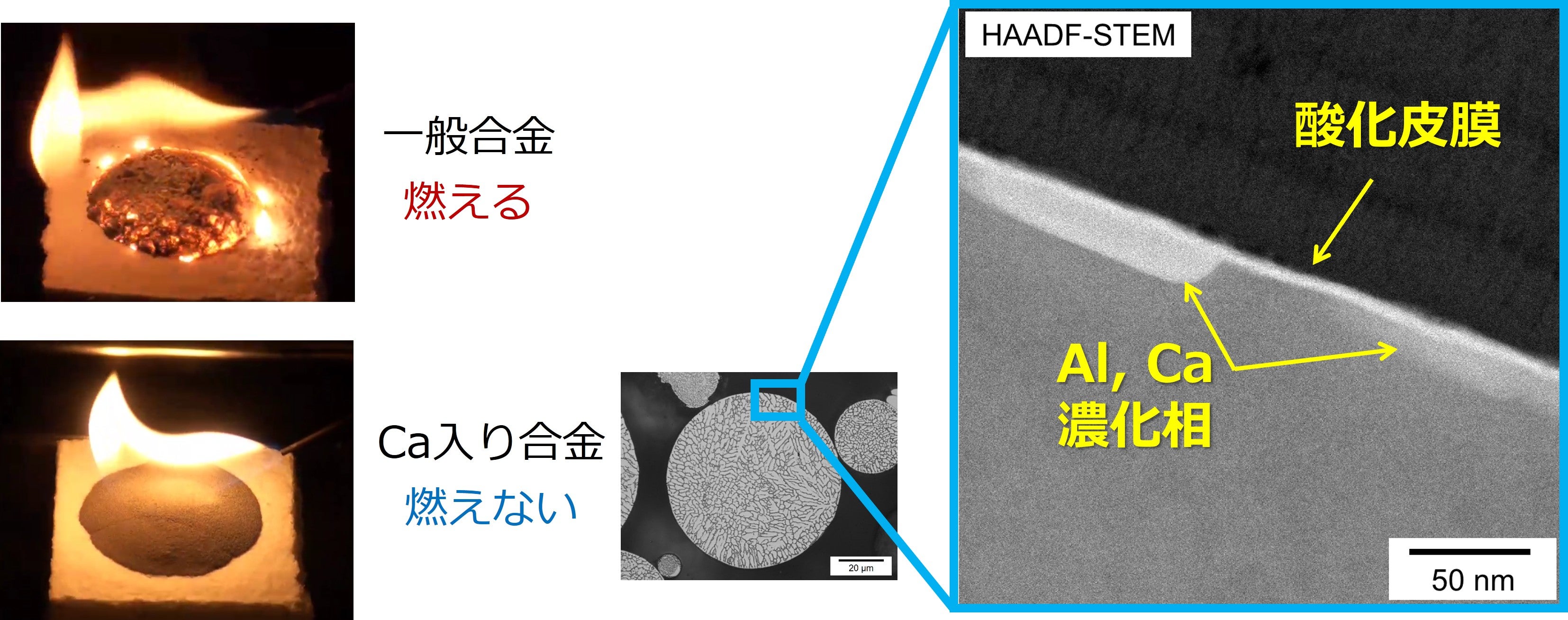 一般合金が燃焼している様子と、Ca入り合金が燃えない様子の比較写真。右側は粉末表面の拡大写真(HAADF-STEM像)で、Al, Ca濃化相による酸化皮膜が確認できる。