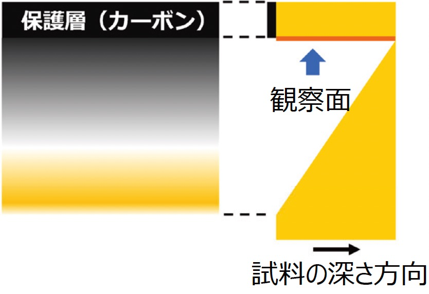 表面から見た試料図