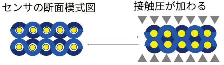 センサの断面模式図