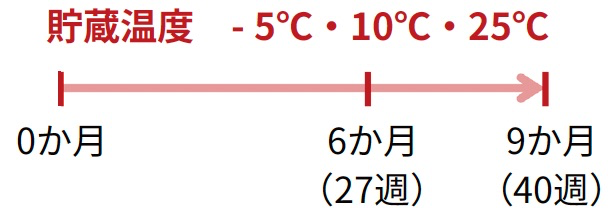 貯蔵温度：－5℃・10℃・25℃／0ヶ月・6か月（27週）・9か月（40週）