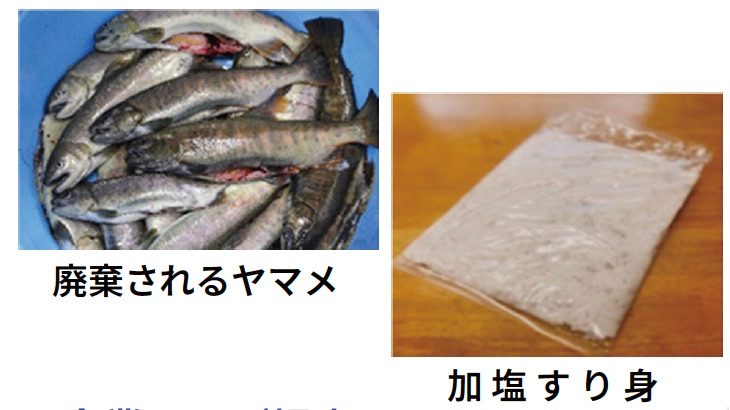 廃棄されるヤマメと加塩すり身の写真
