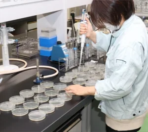 微生物試験の様子1