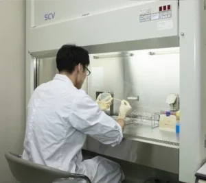 微生物試験の様子2
