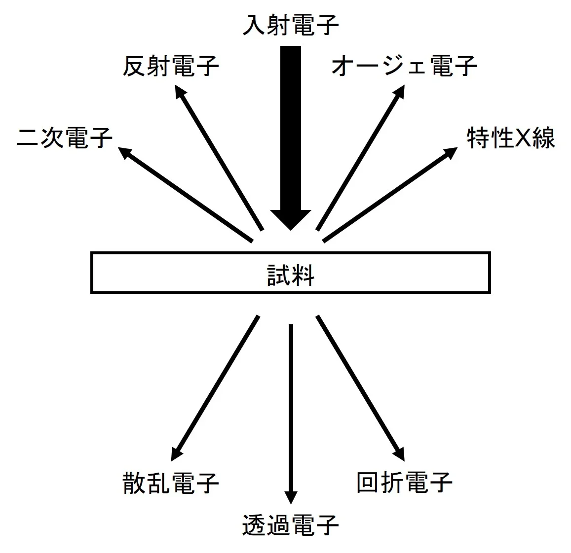 図1 電子線と試料との相互作用の画像