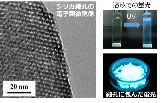 図1 シリカ細孔構造と細孔の鋳型に入れた蛍光分子の強い蛍光の画像