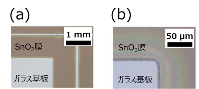 図3 SnOsub2/sub膜除去後の光学顕微鏡像。(a) 低倍率像 (b) 高倍率像の画像