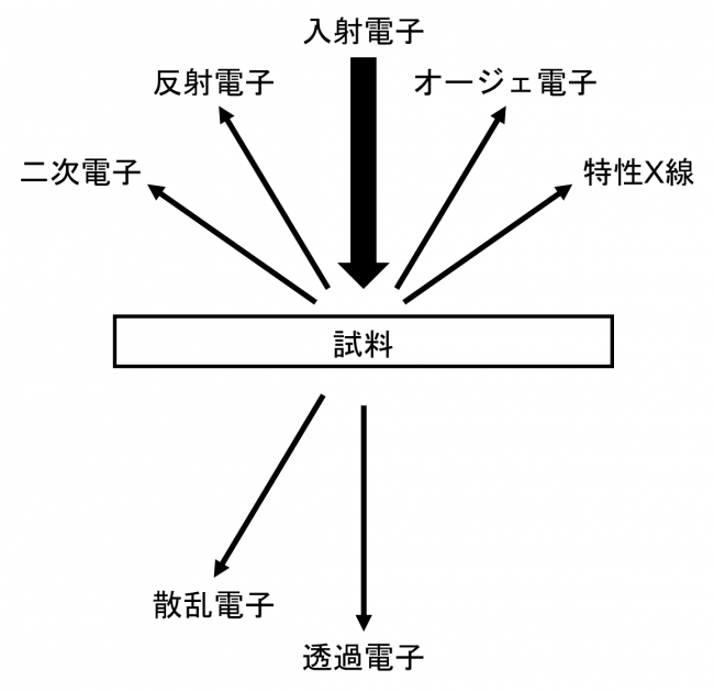電子線と試料との相互作用の図