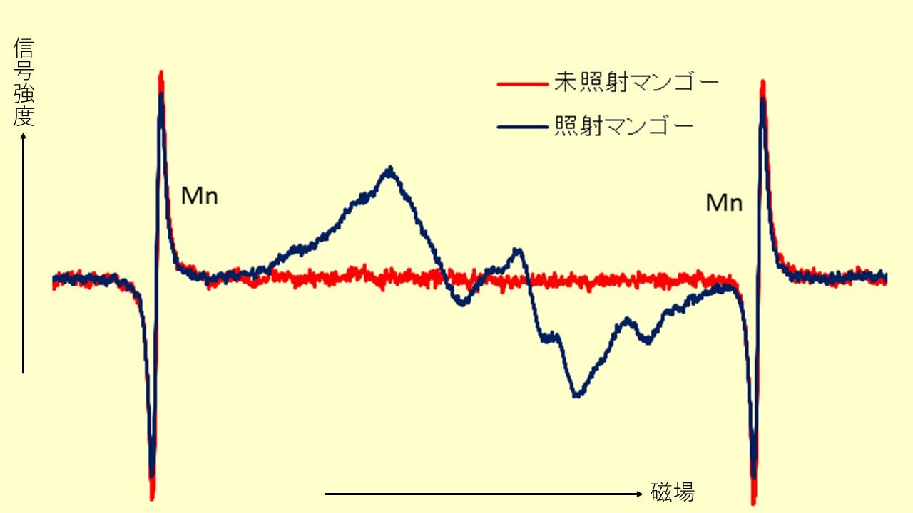 電子スピン共鳴装置｜東京都立産業技術研究センター