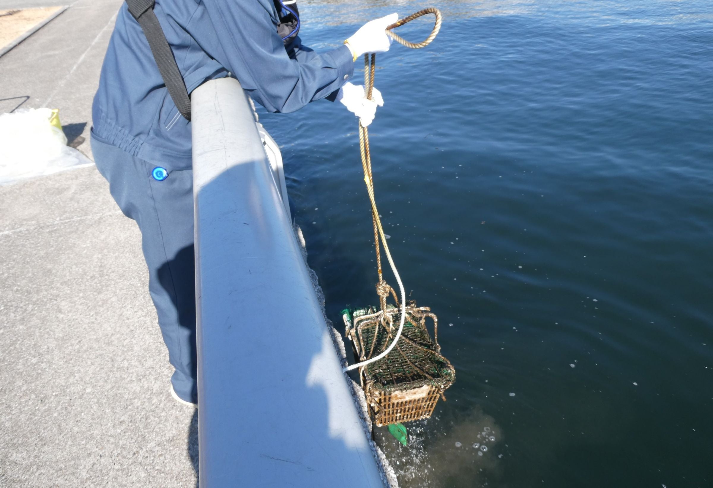 プラスチック試料を東京湾に浸漬する様子を写した写真