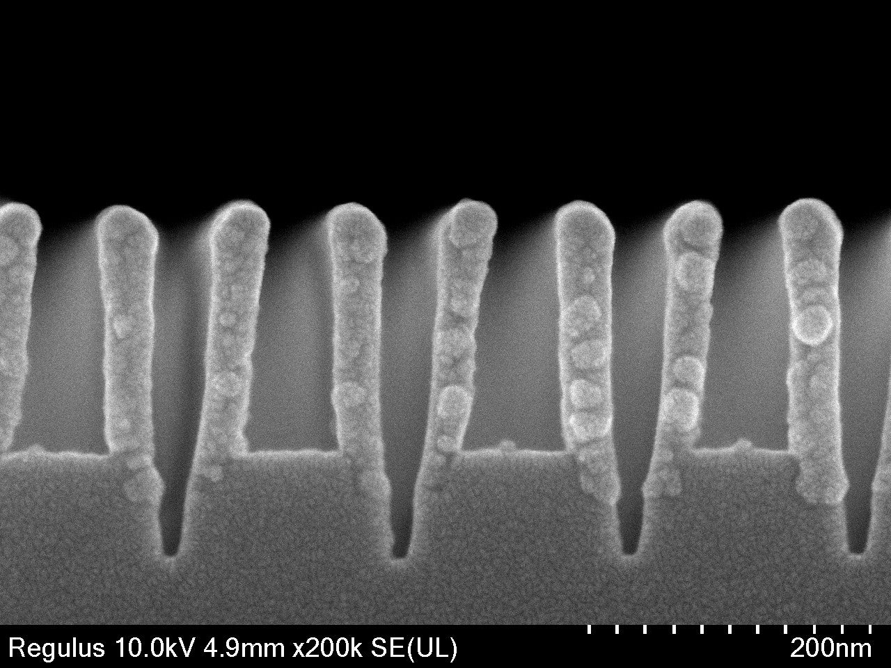 UV波長域用偏光素子のSEM画像
